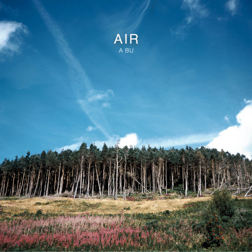 特级全黄A片高清视频
